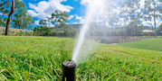 Custom Sprinkler System