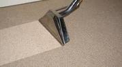 Steamway Carpet Cleaning Denver