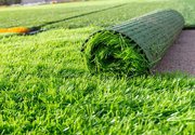Do you really need artificial grass for your Mesa AZ homes?		