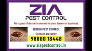 Service, Other, Pesticides, Home service, Pest control